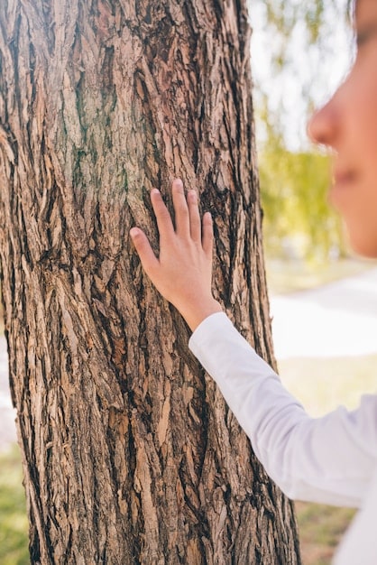 A close-up of a person's hands gently touching the bark of a tree in a forest, symbolizing a mindful connection with nature and its therapeutic benefits.
