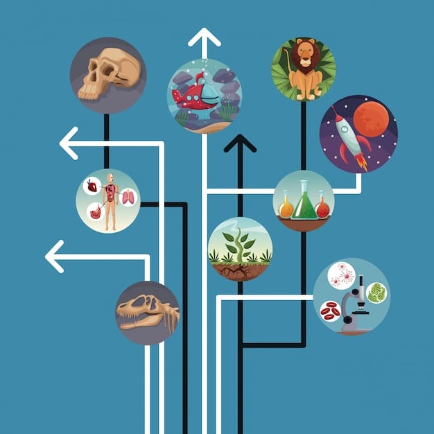 A detailed infographic outlining the key steps in conducting a community resource needs assessment, including data collection, analysis, and prioritization of needs.