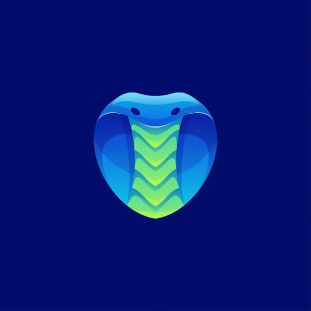 COBRA vs. Marketplace: Choosing the Best Health Plan After Job Loss in 2025